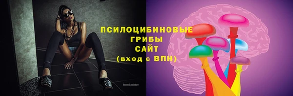 индика Абинск