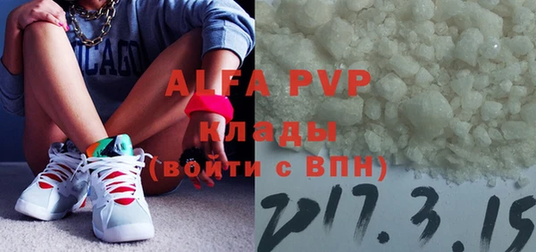 индика Абинск