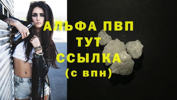 прущие крисы Абаза